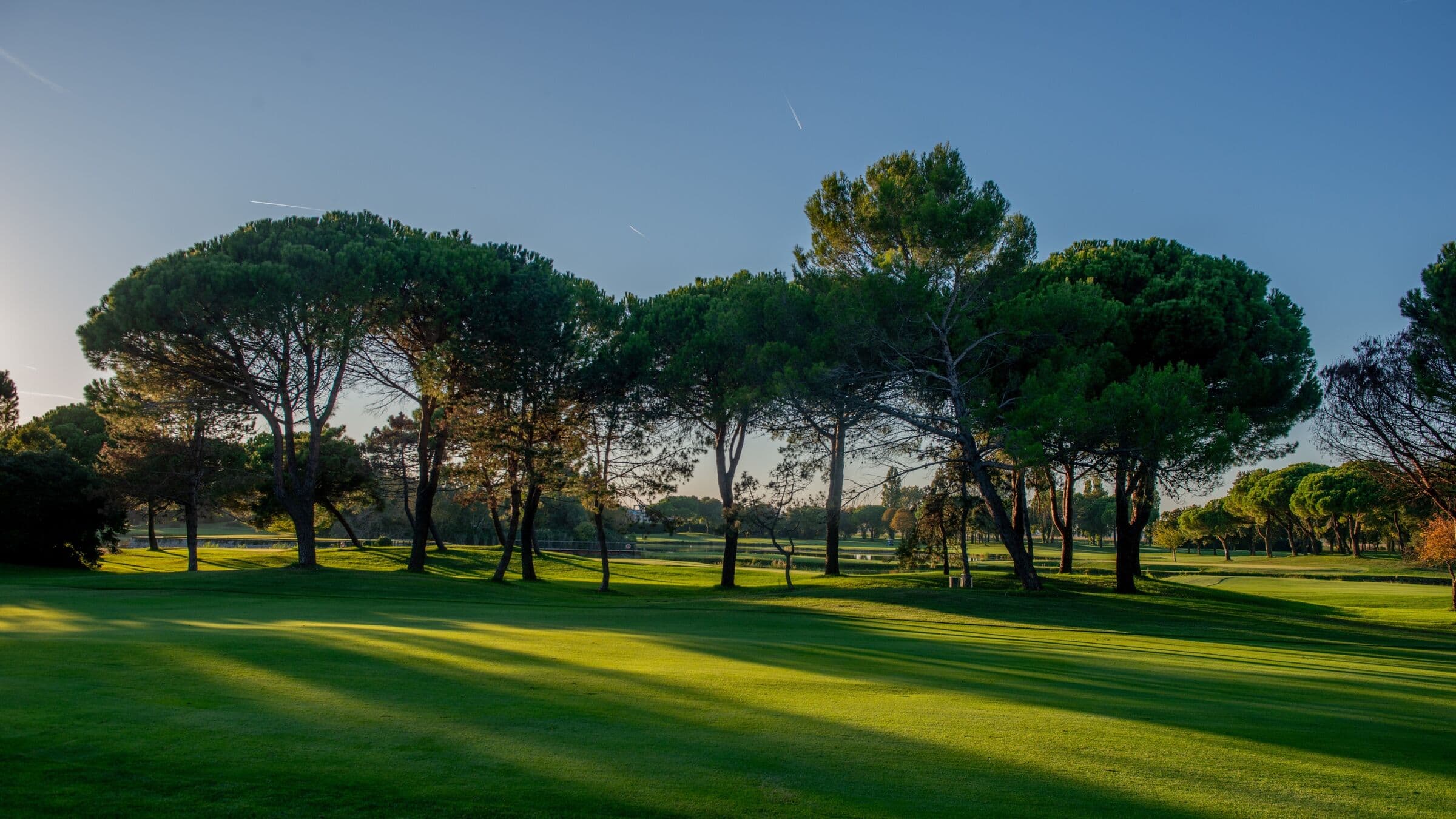 Interchange-Plus vs. Flat Pricing: Which Model Keeps More of Your Green Fees